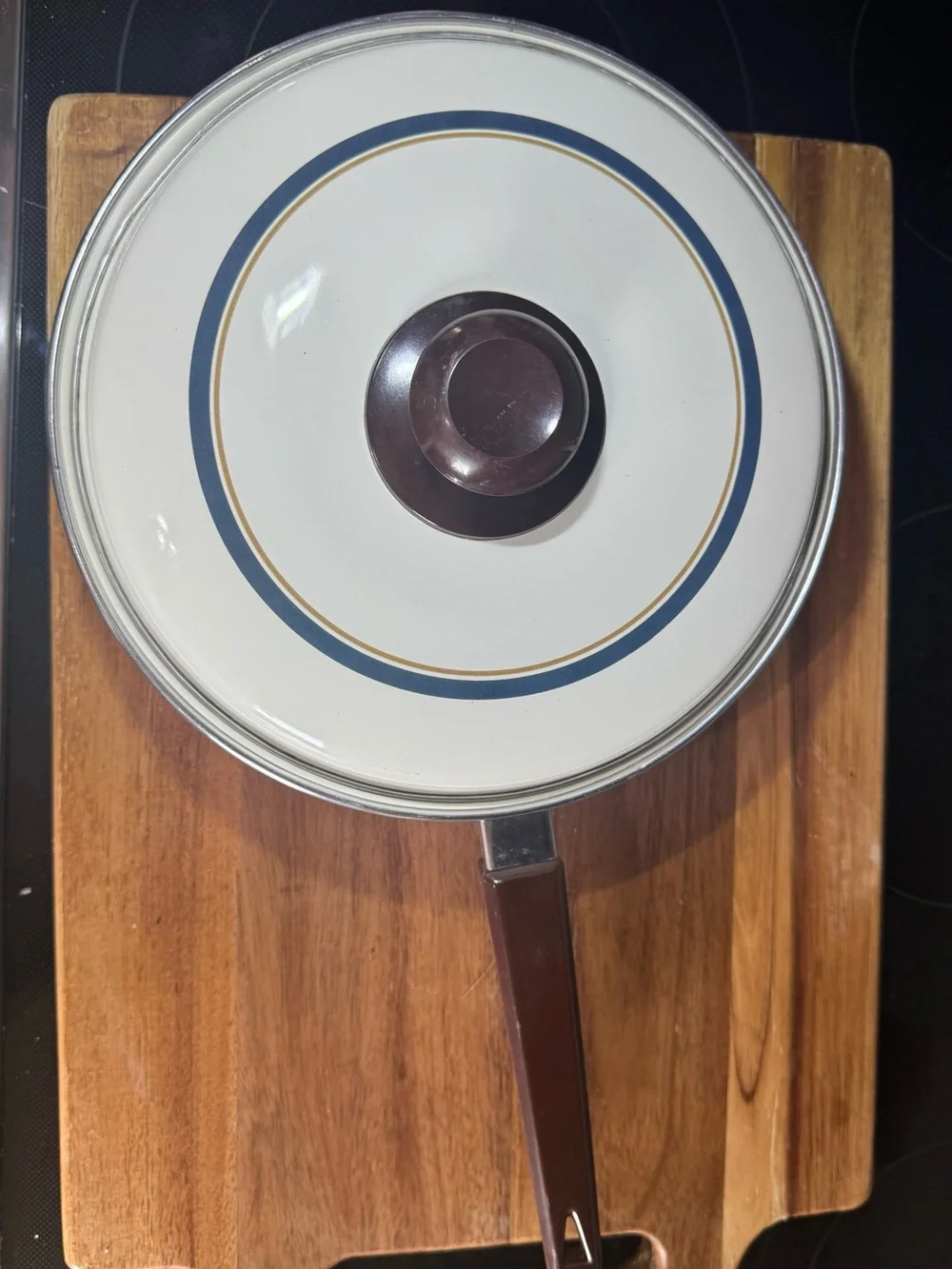 Vintage Country Goose Enamel 9